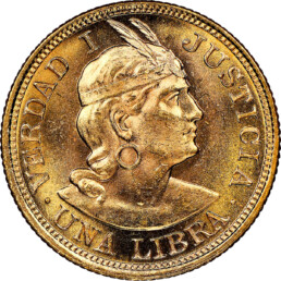 LIBRA DE ORO PERÚ